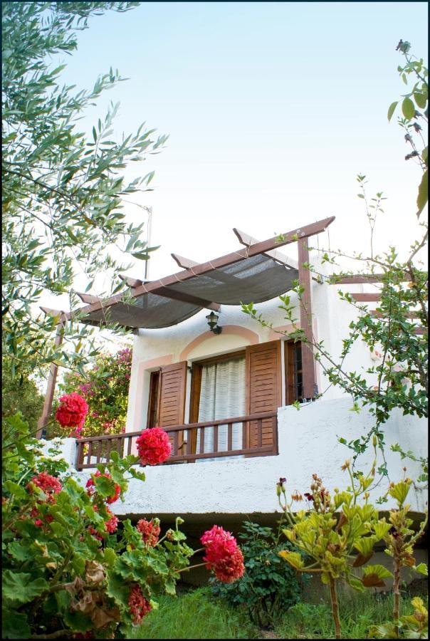 팔레카스트론 Voula'S Casa Di Mare 아파트 객실 사진